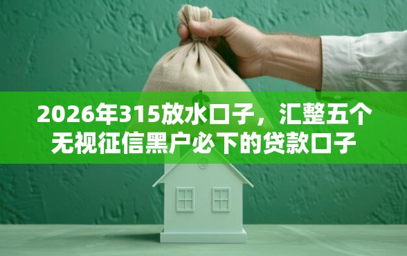 2026年315放水口子，汇整五个无视征信黑户必下的贷款口子