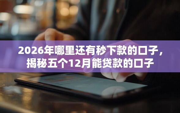 2026年哪里还有秒下款的口子，揭秘五个12月能贷款的口子