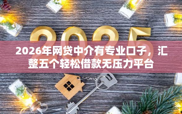 2026年网贷中介有专业口子，汇整五个轻松借款无压力平台