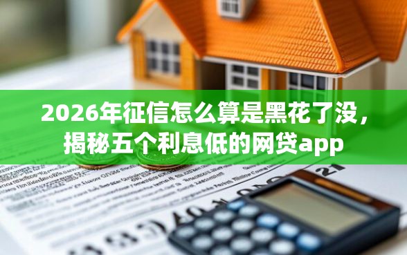 2026年征信怎么算是黑花了没，揭秘五个利息低的网贷app