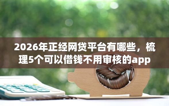 2026年正经网贷平台有哪些，梳理5个可以借钱不用审核的app