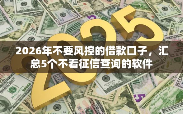 2026年不要风控的借款口子，汇总5个不看征信查询的软件