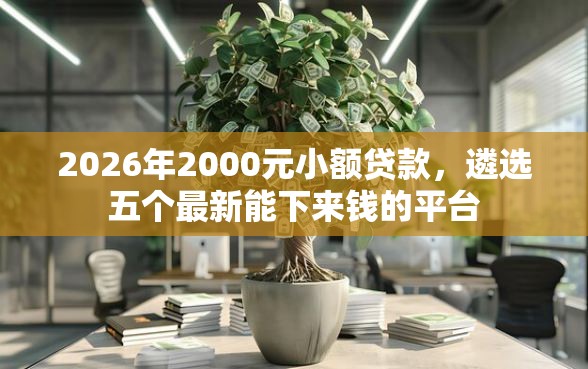 2026年2000元小额贷款，遴选五个最新能下来钱的平台