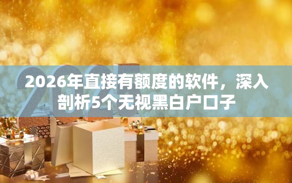 2026年直接有额度的软件，深入剖析5个无视黑白户口子