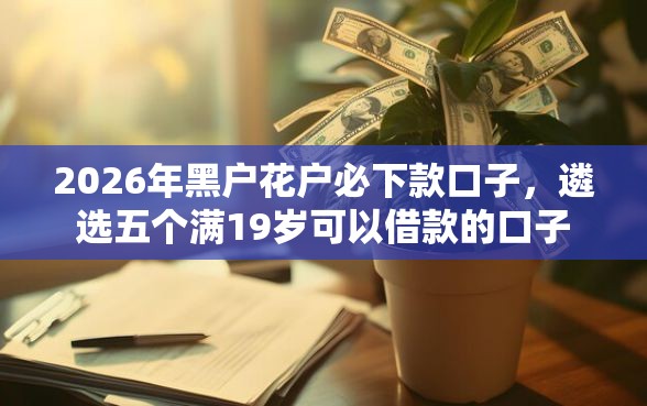 2026年黑户花户必下款口子，遴选五个满19岁可以借款的口子