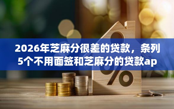2026年芝麻分很差的贷款，条列5个不用面签和芝麻分的贷款app