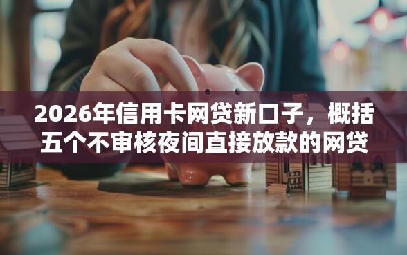 2026年信用卡网贷新口子，概括五个不审核夜间直接放款的网贷平台
