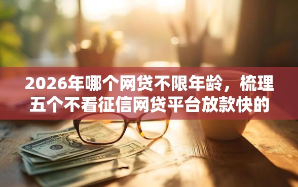 2026年哪个网贷不限年龄，梳理五个不看征信网贷平台放款快的平台