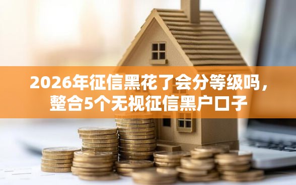 2026年征信黑花了会分等级吗，整合5个无视征信黑户口子