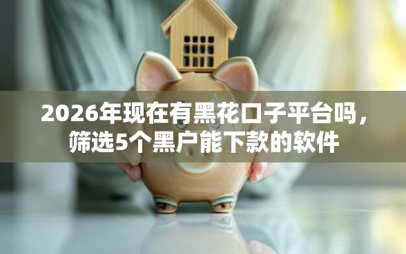 2026年现在有黑花口子平台吗,筛选5个黑户能下款的软件 2026年现在有黑花口子平台吗,筛选5个黑户能下款的软件