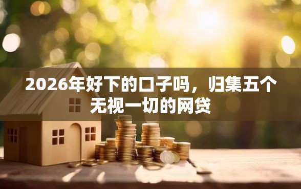 2026年好下的口子吗，归集五个无视一切的网贷