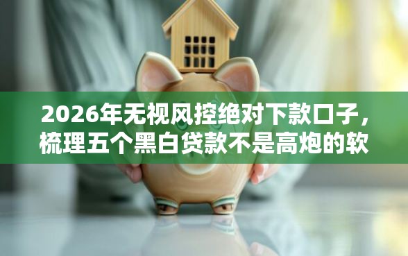 2026年无视风控绝对下款口子，梳理五个黑白贷款不是高炮的软件