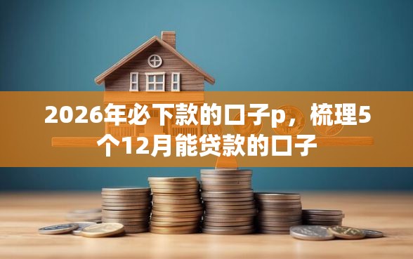 2026年必下款的口子p，梳理5个12月能贷款的口子
