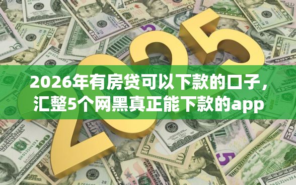 2026年有房贷可以下款的口子，汇整5个网黑真正能下款的app