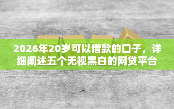 2026年20岁可以借款的口子，详细阐述五个无视黑白的网贷平台