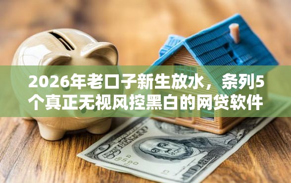 2026年老口子新生放水，条列5个真正无视风控黑白的网贷软件
