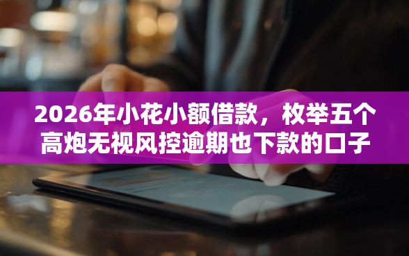 2026年小花小额借款，枚举五个高炮无视风控逾期也下款的口子
