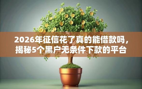 2026年征信花了真的能借款吗，揭秘5个黑户无条件下款的平台