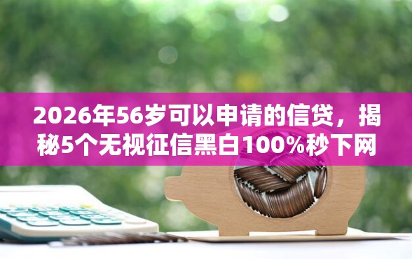 2026年56岁可以申请的信贷，揭秘5个无视征信黑白100%秒下网贷平台
