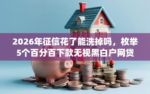 2026年征信花了能洗掉吗，枚举5个百分百下款无视黑白户网贷app