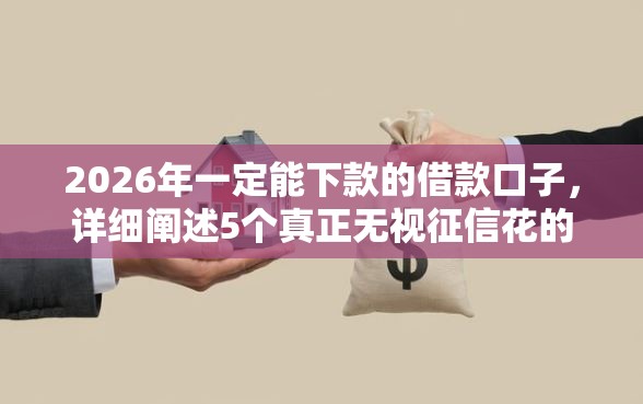 2026年一定能下款的借款口子,详细阐述5个真正无视征信花的平台 2026年一定能下款的借款口子,详细阐述5个真正无视征信花的平台