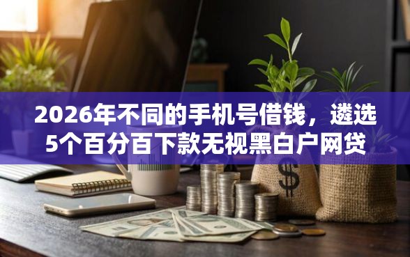 2026年不同的手机号借钱，遴选5个百分百下款无视黑白户网贷