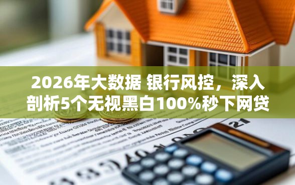 2026年大数据 银行风控,深入剖析5个无视黑白100%秒下网贷 2026年大数据 银行风控,深入剖析5个无视黑白100%秒下网贷