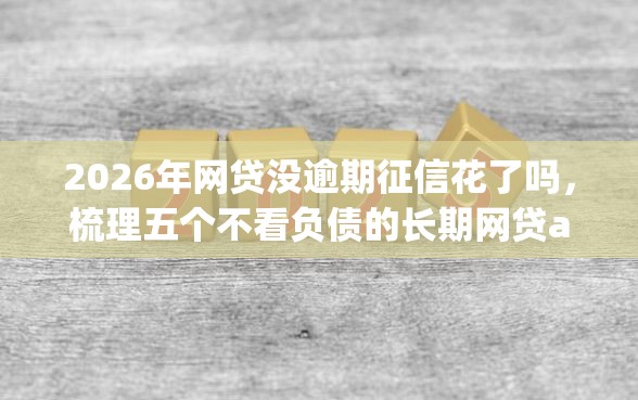2026年网贷没逾期征信花了吗，梳理五个不看负债的长期网贷app