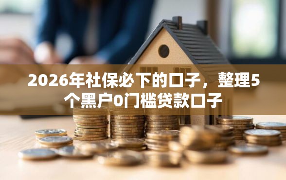 2026年社保必下的口子，整理5个黑户0门槛贷款口子