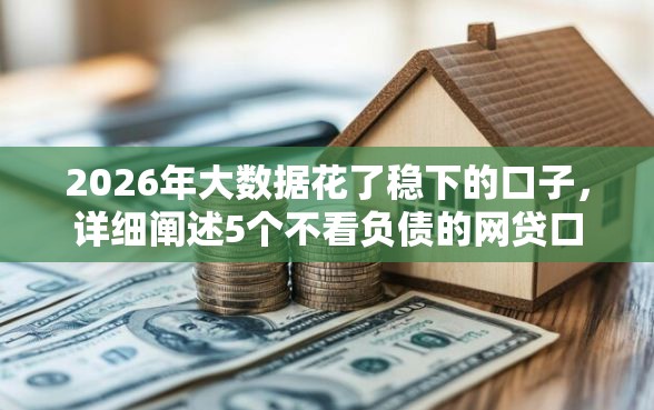 2026年大数据花了稳下的口子，详细阐述5个不看负债的网贷口子