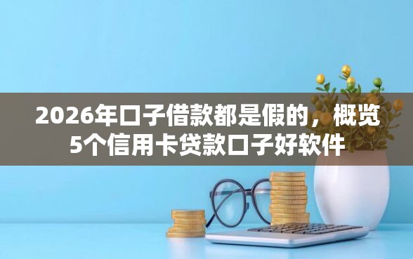 2026年口子借款都是假的，概览5个信用卡贷款口子好软件