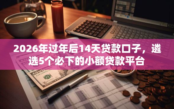 2026年过年后14天贷款口子，遴选5个必下的小额贷款平台
