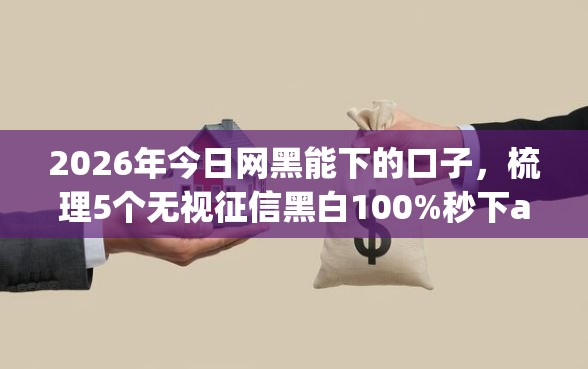 2026年今日网黑能下的口子，梳理5个无视征信黑白100%秒下app