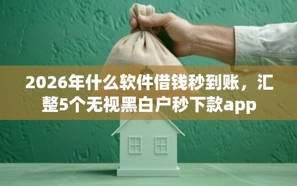 2026年什么软件借钱秒到账，汇整5个无视黑白户秒下款app