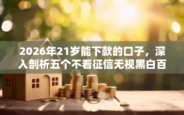2026年21岁能下款的口子，深入剖析五个不看征信无视黑白百分百下款网贷口子