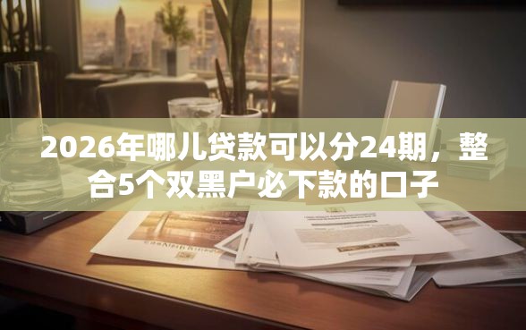 2026年哪儿贷款可以分24期，整合5个双黑户必下款的口子