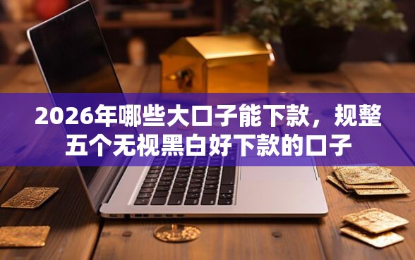 2026年哪些大口子能下款，规整五个无视黑白好下款的口子