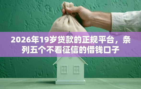 2026年19岁贷款的正规平台，条列五个不看征信的借钱口子