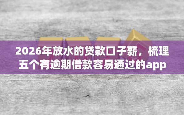 2026年放水的贷款口子薪，梳理五个有逾期借款容易通过的app
