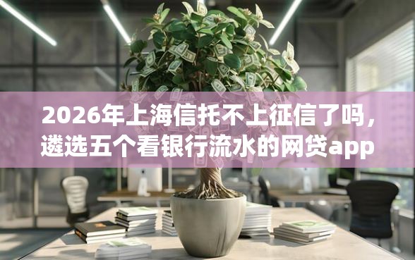 2026年上海信托不上征信了吗，遴选五个看银行流水的网贷app