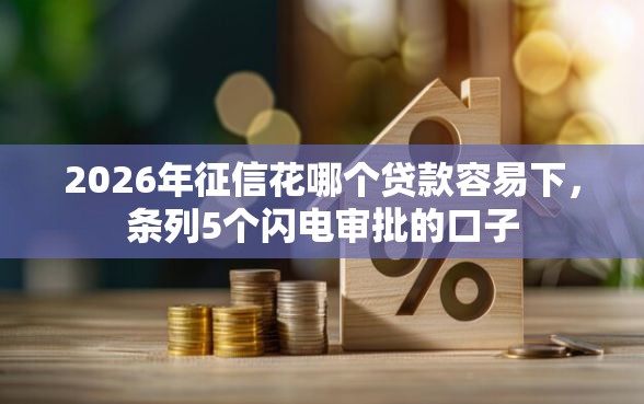 2026年征信花哪个贷款容易下，条列5个闪电审批的口子