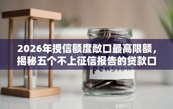 2026年授信额度敞口最高限额，揭秘五个不上征信报告的贷款口子