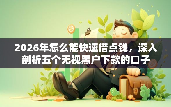 2026年怎么能快速借点钱，深入剖析五个无视黑户下款的口子