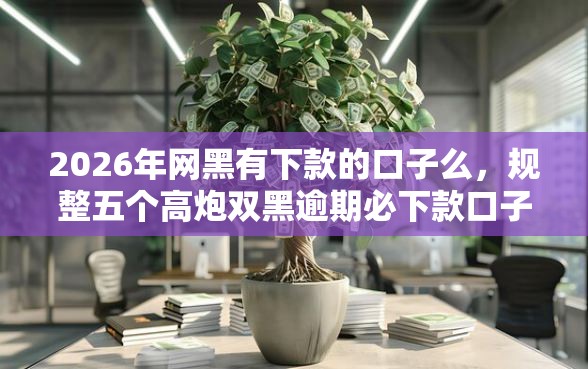 2026年网黑有下款的口子么，规整五个高炮双黑逾期必下款口子