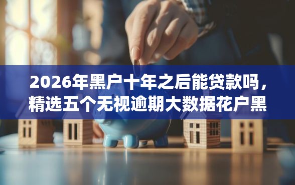 2026年黑户十年之后能贷款吗，精选五个无视逾期大数据花户黑户app
