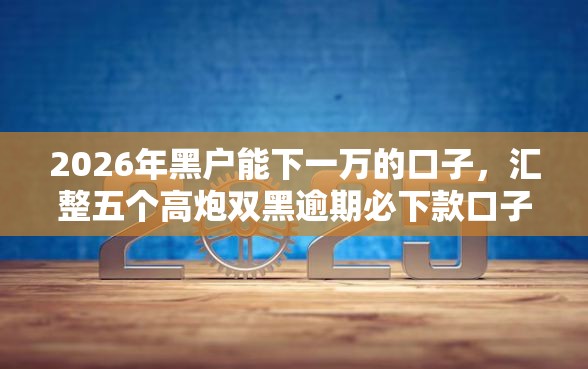 2026年黑户能下一万的口子，汇整五个高炮双黑逾期必下款口子