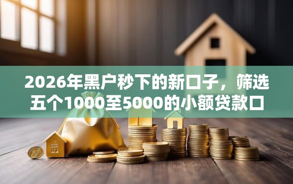 2026年黑户秒下的新口子，筛选五个1000至5000的小额贷款口子