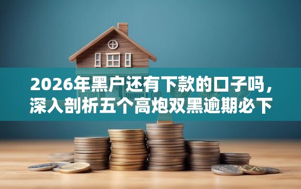 2026年黑户还有下款的口子吗，深入剖析五个高炮双黑逾期必下款口子
