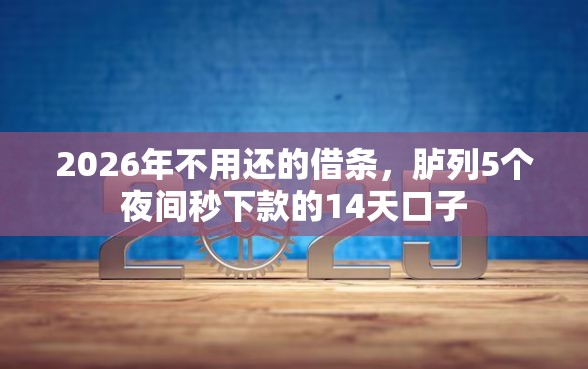 2026年不用还的借条，胪列5个夜间秒下款的14天口子