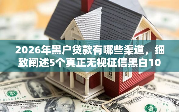 2026年黑户贷款有哪些渠道,细致阐述5个真正无视征信黑白100%秒下网贷 2026年黑户贷款有哪些渠道,细致阐述5个真正无视征信黑白100%秒下网贷